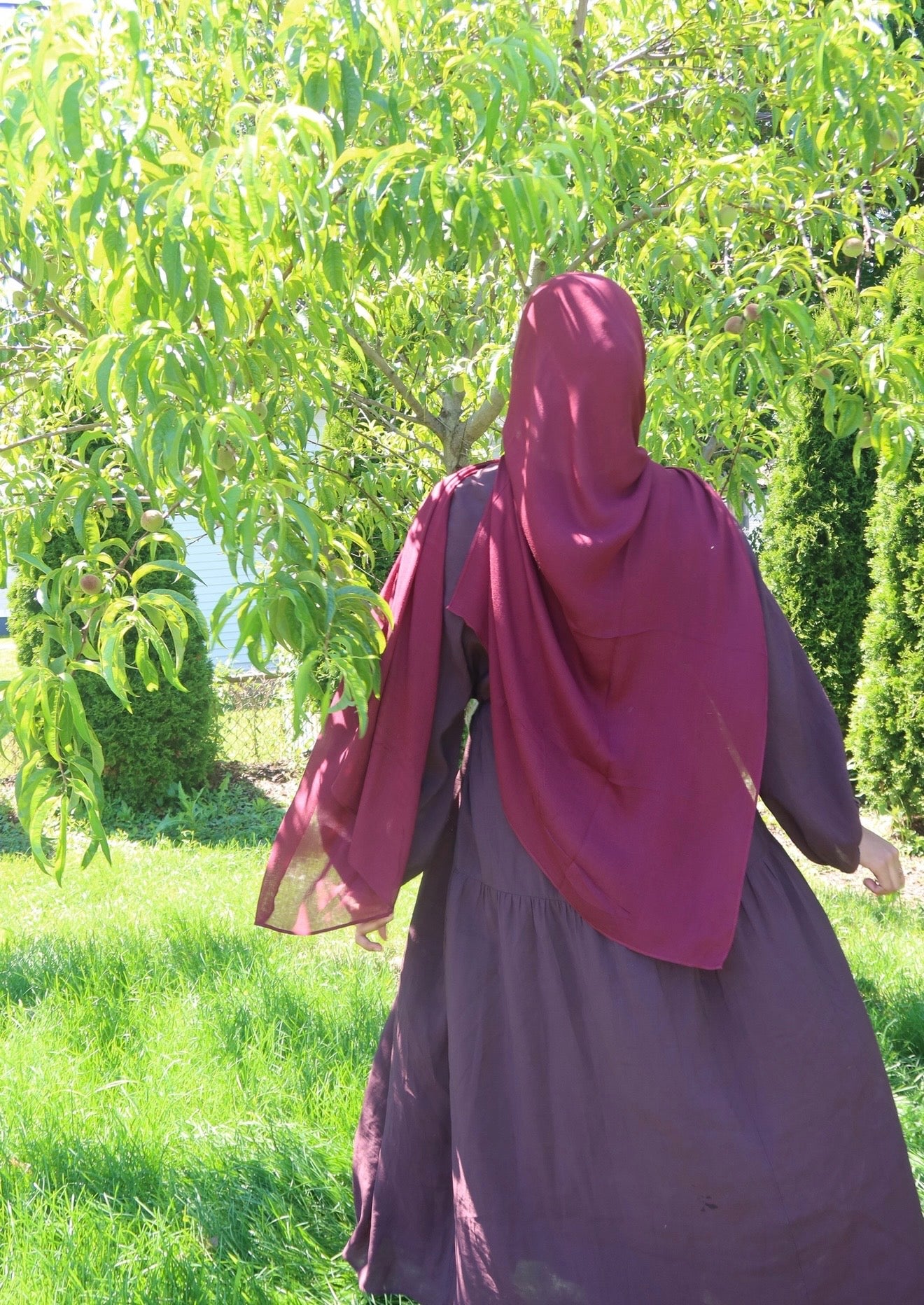 3nabi maroon